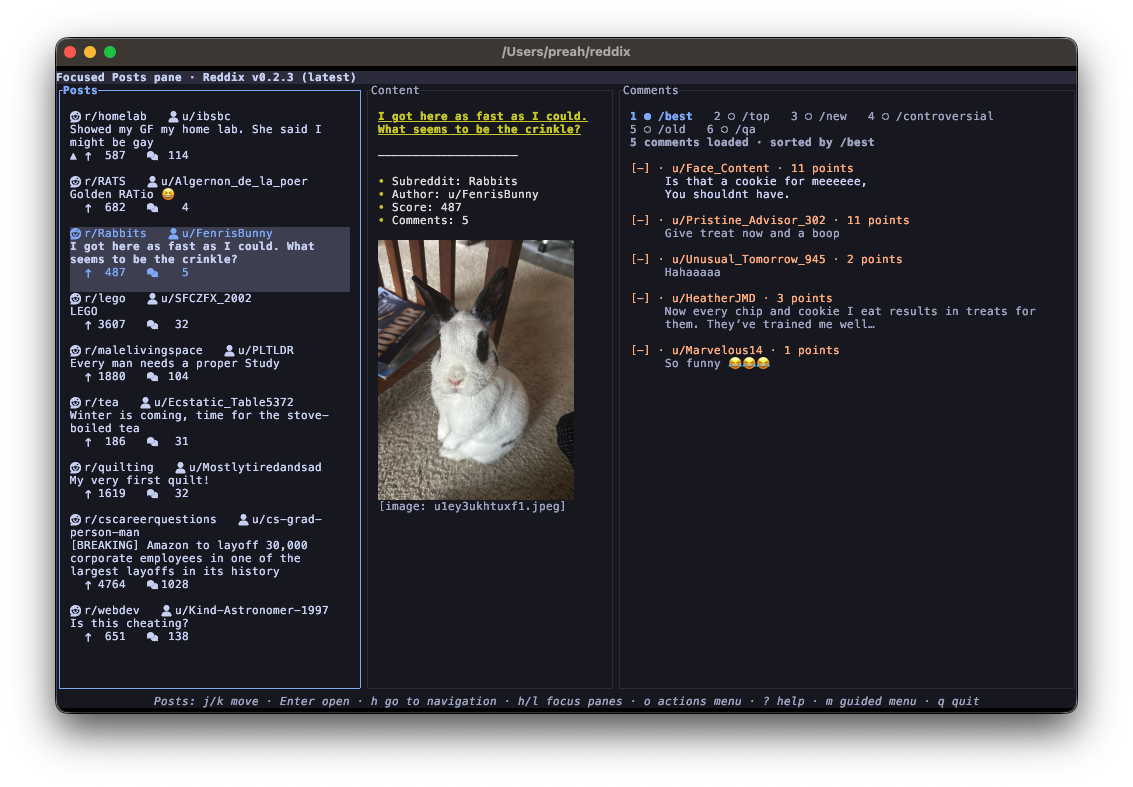 Reddix in the terminal on macOS